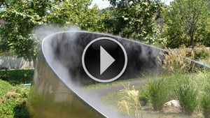 Rainbow Arbor Video
