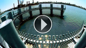 Wave Oculus Video