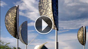 Wind Leaves Video