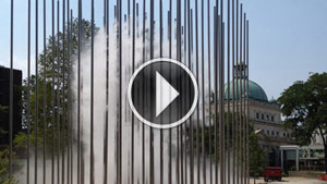 cloudArbor-video-300