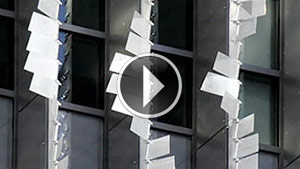 featherWall-video